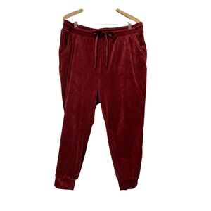 Torrid Super Soft Sleep Joggers Burgundy Red Velour Lounge Pants Size 2 Plus